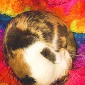 Meet your Posher, Chloe